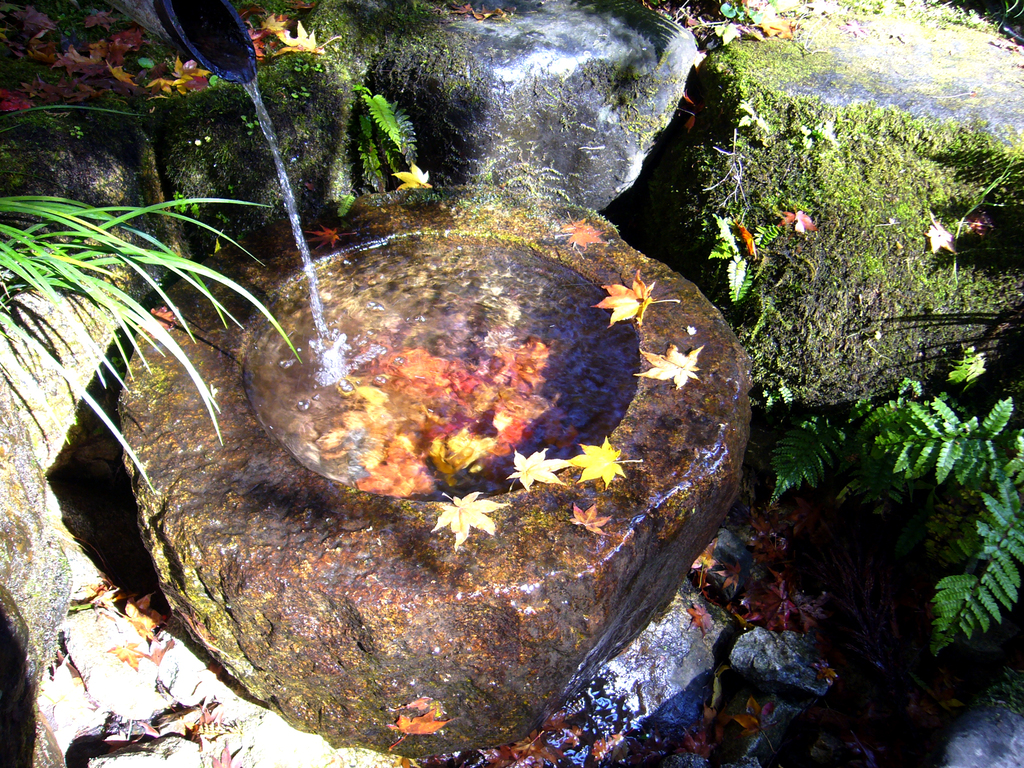 水と紅葉のコラボ