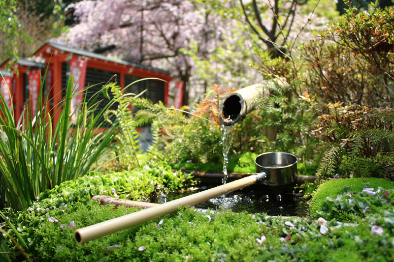 春の三千院