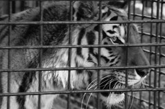 東山動物園にて