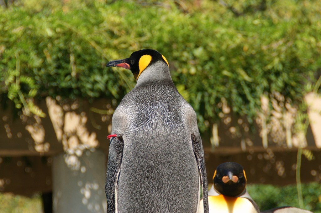 東山動物園にて