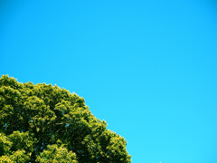 緑と青