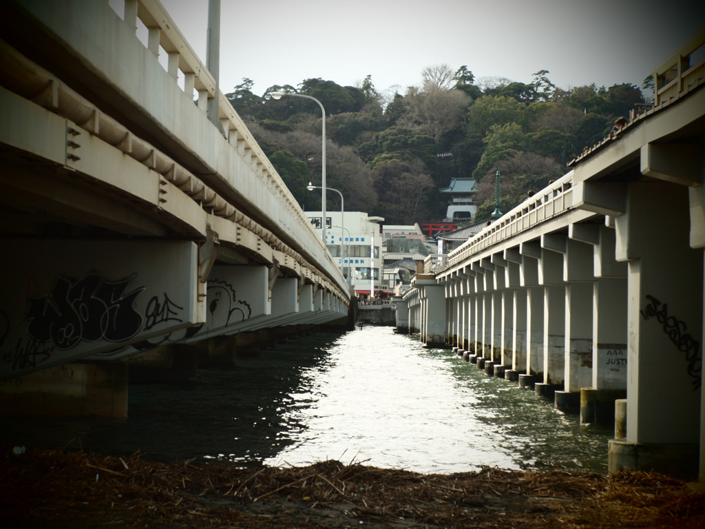 江の島を隙間から。