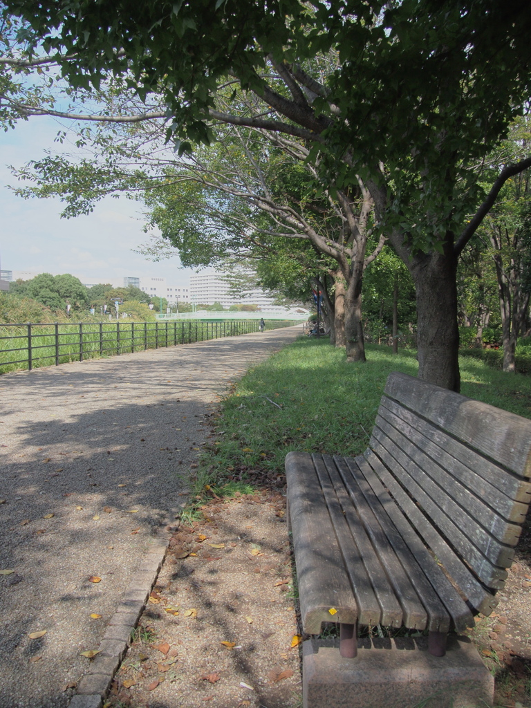 お昼過ぎの遊歩道