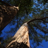 公園散歩
