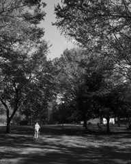 公園散歩