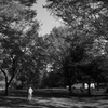 公園散歩