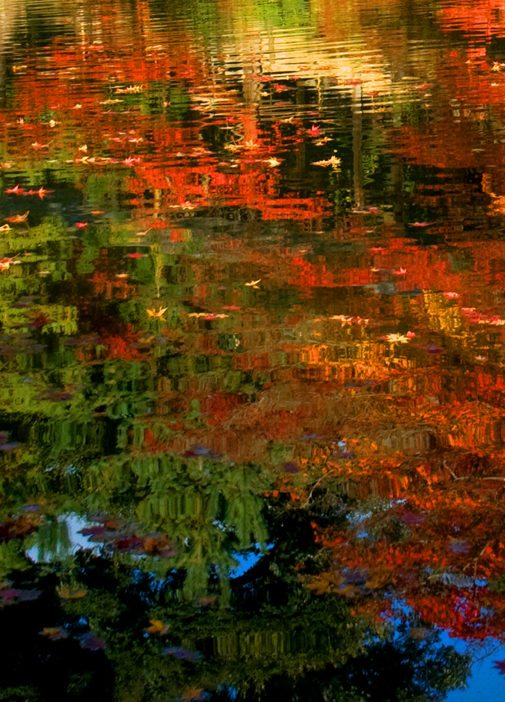溶け合う紅葉