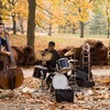 Autumn in New York