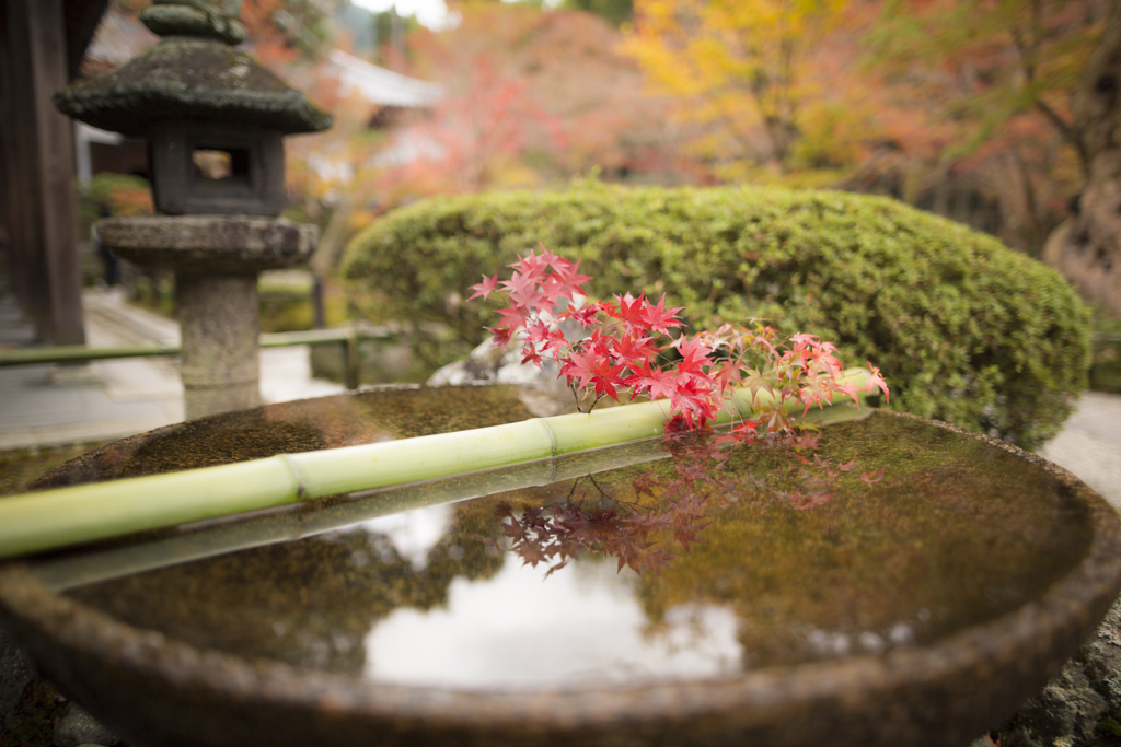 京都