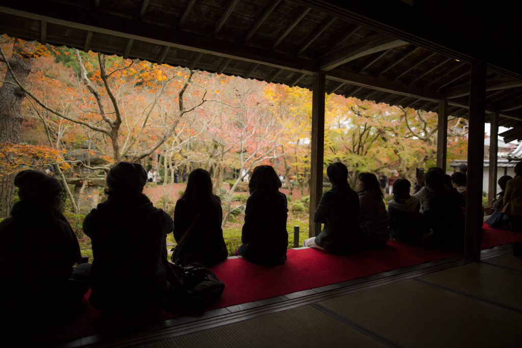 京都