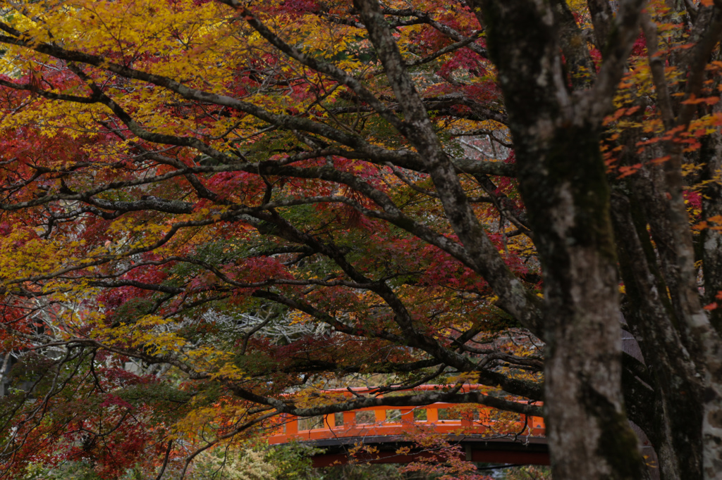 朱色の橋のある風景