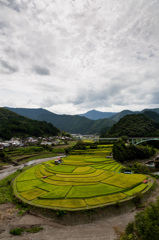 あらぎ島