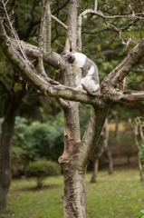 『しもた、、、降りられへん、、』