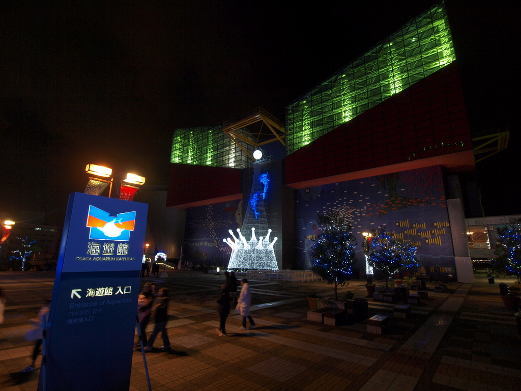 1129_海遊館05