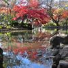 池に映して
