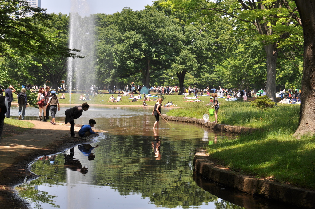 公園の一日