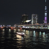 「桜色の夜」