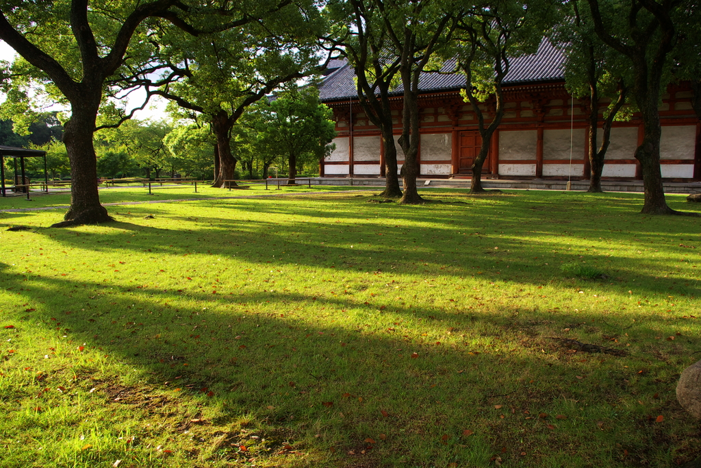 東寺　朝の境内