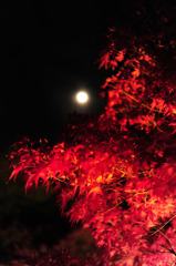 月