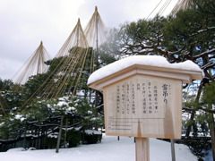 雪吊り