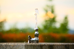 水飲み