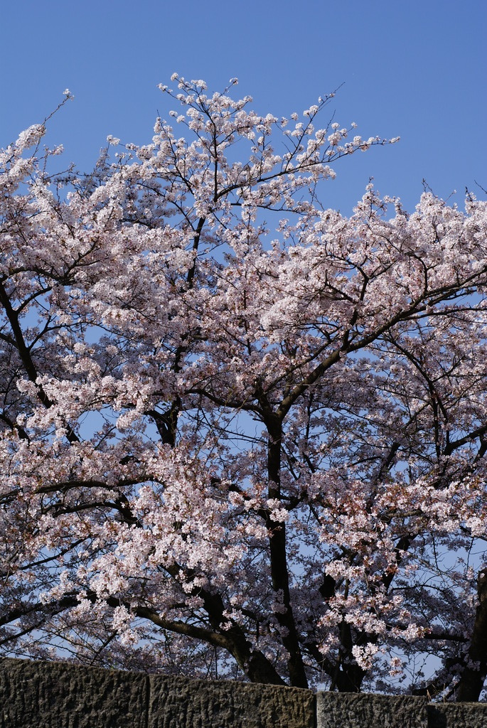 DSC00902