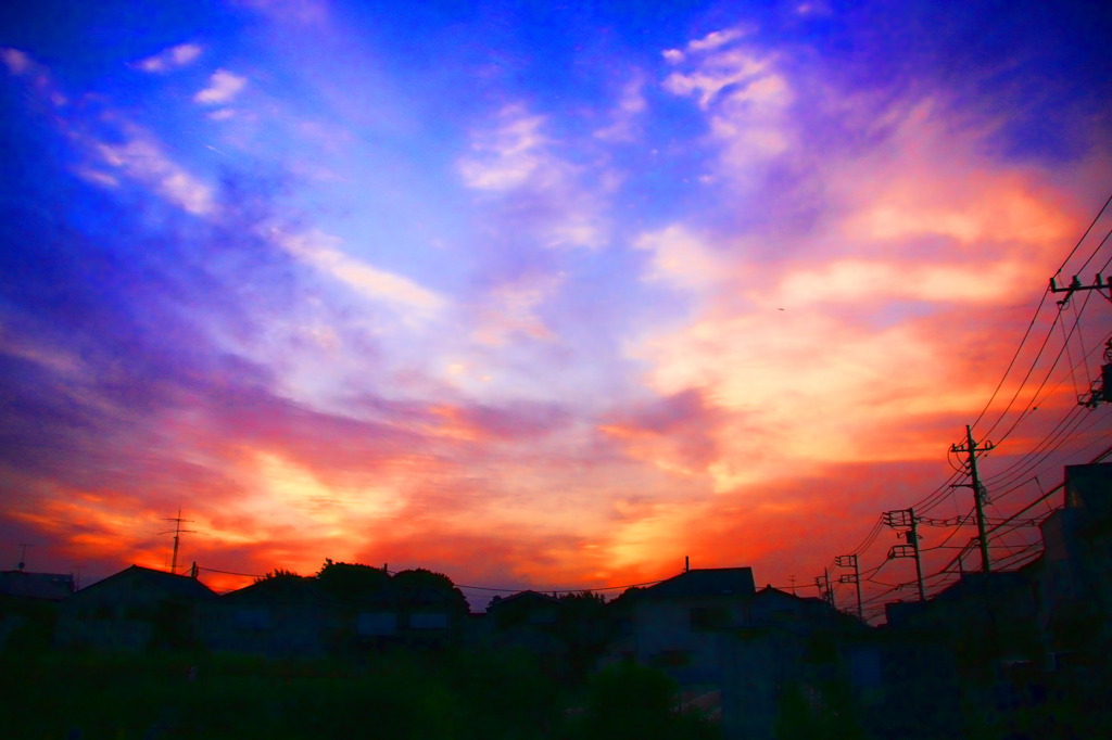 2010.6.17007a