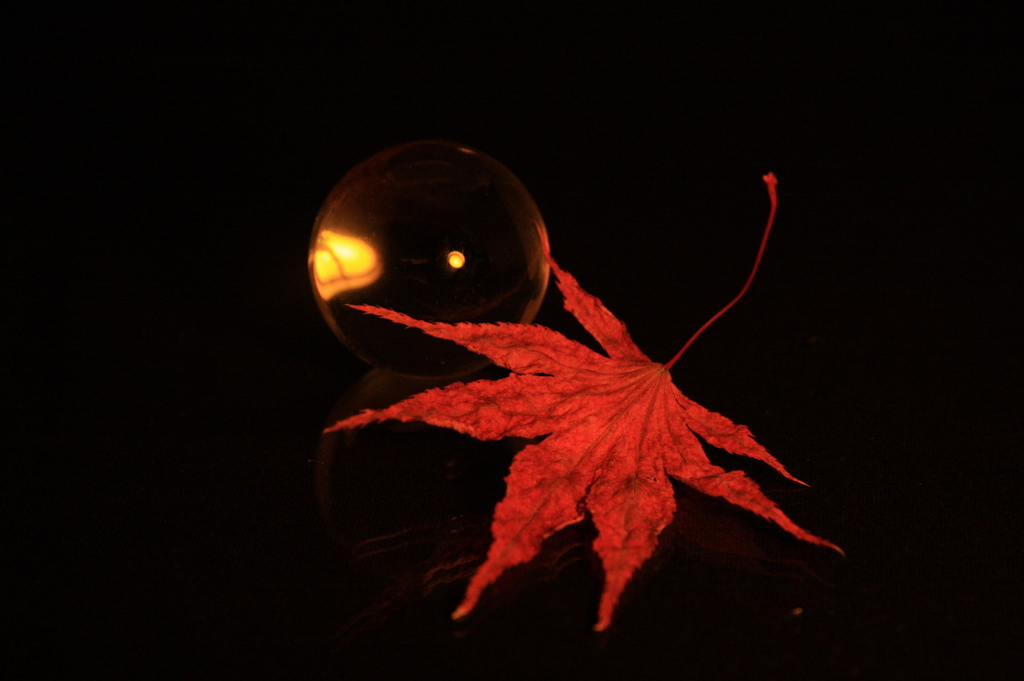 紅葉（色違いｖｅｒ.）