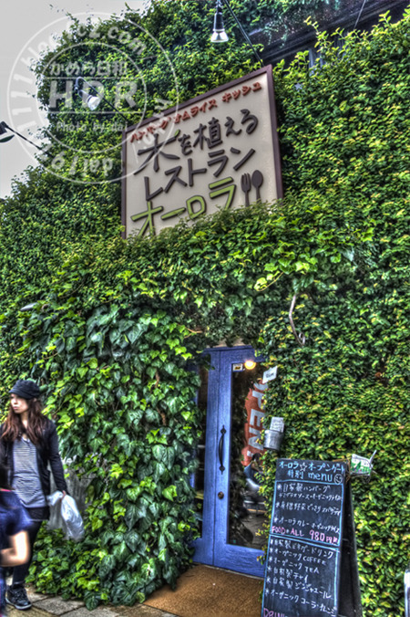IMG_2667_tonemapped