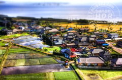 0117_7_117_tonemapped-tiltshift