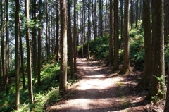 熊野古道
