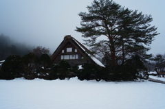 和田家