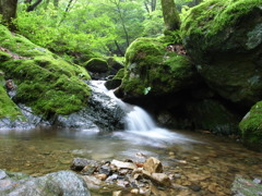 小さな滝