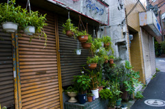 道端1
