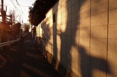 夕暮れの影
