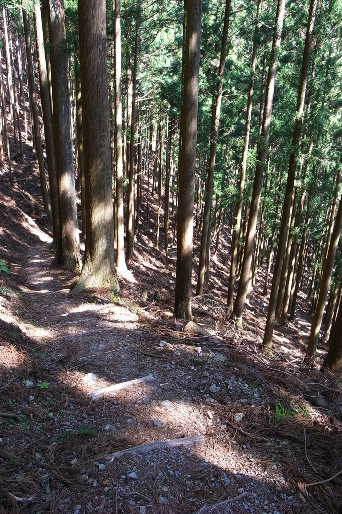 熊野古道