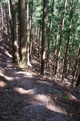 熊野古道