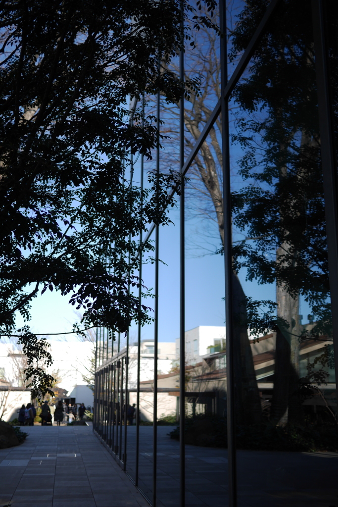 蔦谷書店にて