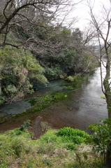 柿田川
