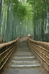 化野念仏院竹の小路