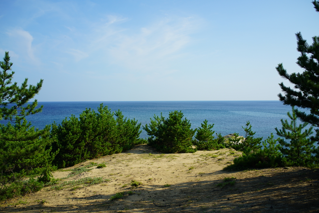 海と松と