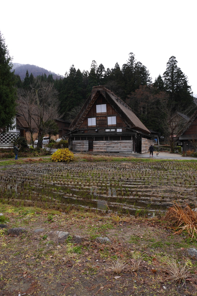 冬の前