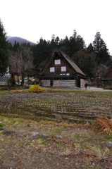 冬の前
