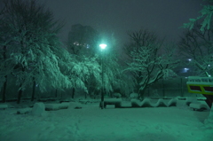 雪降る夜に