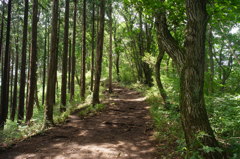 高尾陣馬縦走路