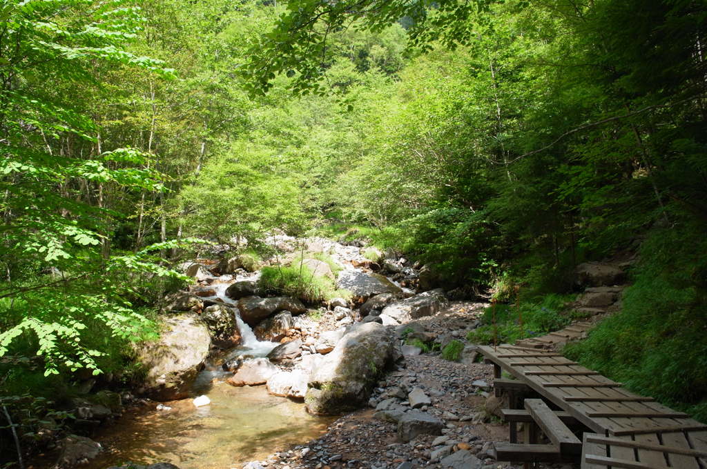 美濃戸より北沢