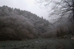 霧氷の山
