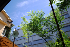 透きとおる光