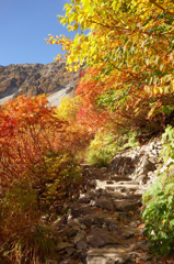 紅葉のトンネル