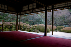 そうだ、京都行こう